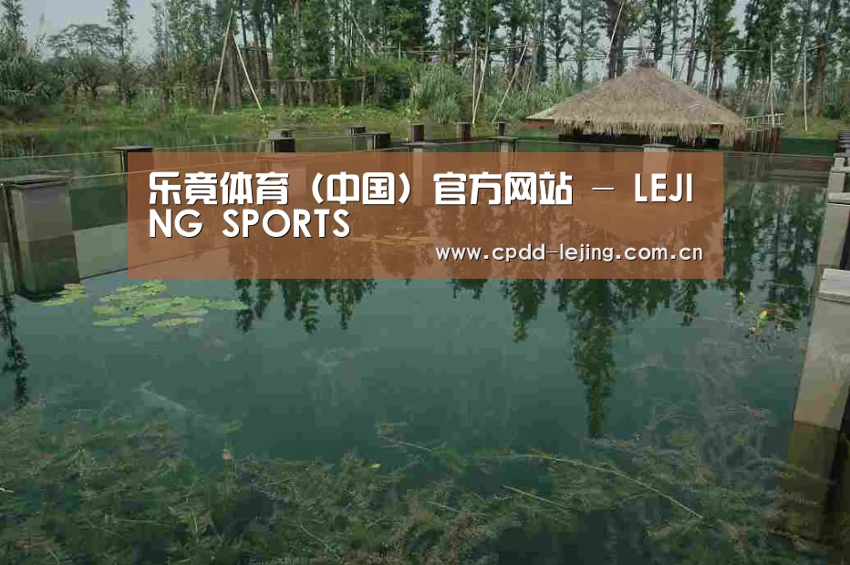 案例展示二(图1)