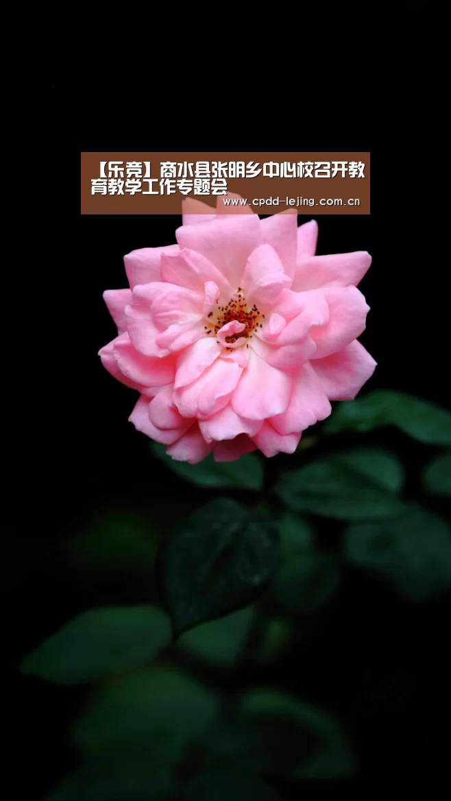 乐竞俱乐部
