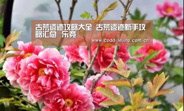 古荒遗迹攻略大全 古荒遗迹新手攻略汇总-乐竞(图2) 乐竞运动