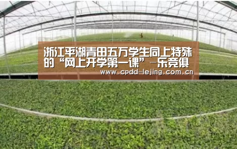 浙江平湖青田五万学生同上特殊的“网上开学第一课”-乐竞俱乐部(图2) 乐竞首页