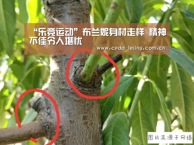 “乐竞运动”布兰妮身材走样 精神不佳令人堪忧(图1) 乐竞