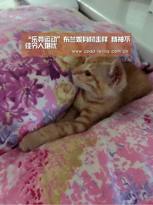 “乐竞运动”布兰妮身材走样 精神不佳令人堪忧(图2) 乐竞运动